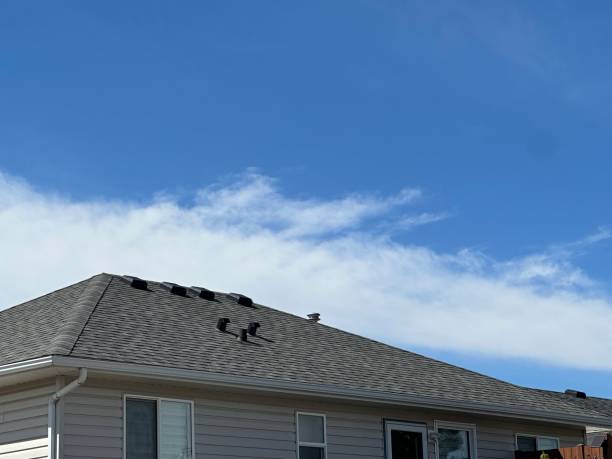 Best Roof Ventilation Installation  in Tazewell, VA